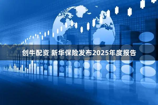 创牛配资 新华保险发布2025年度报告