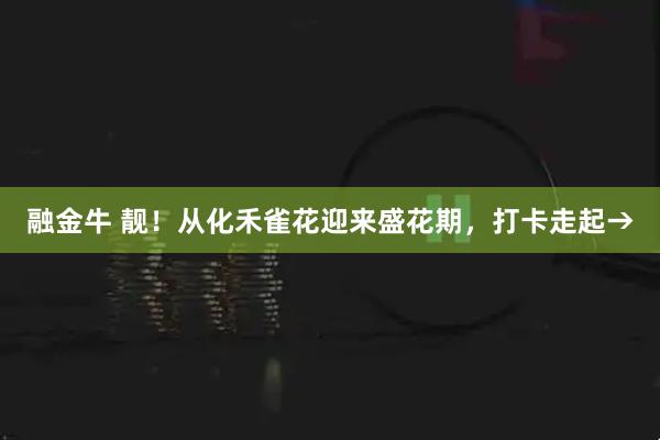 融金牛 靓！从化禾雀花迎来盛花期，打卡走起→